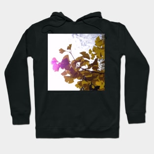 Sunny Autumn Ginkgo Hoodie